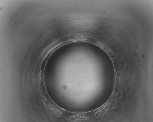 X0000066950338200603311447