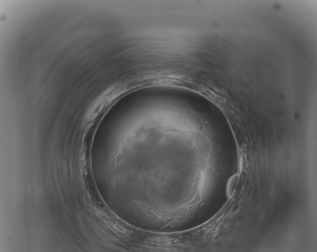 X0000066950339200603311448