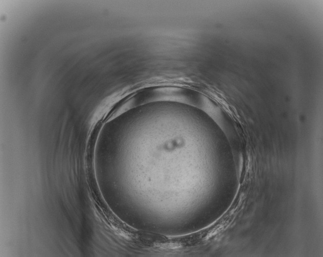 X0000066950340200603311448