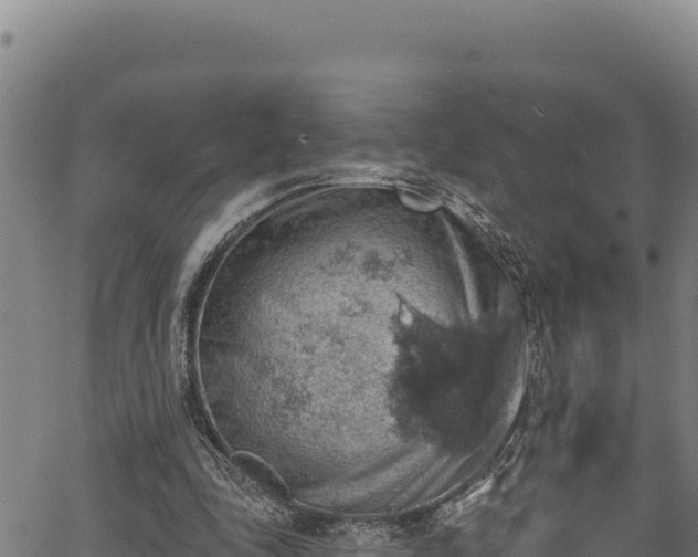 X0000066950343200603311448