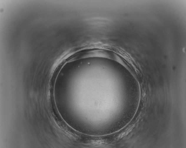 X0000066950344200603311448