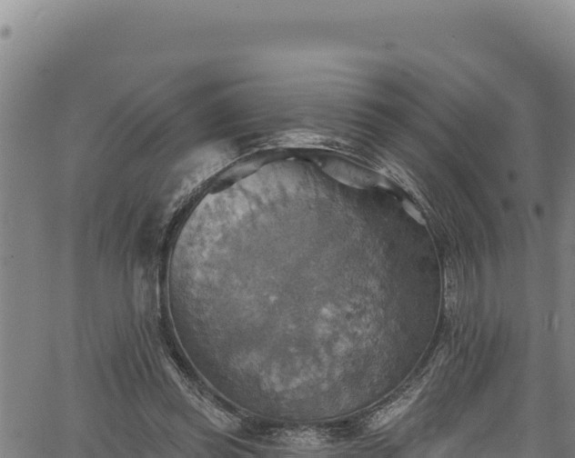 X0000066950349200603311448