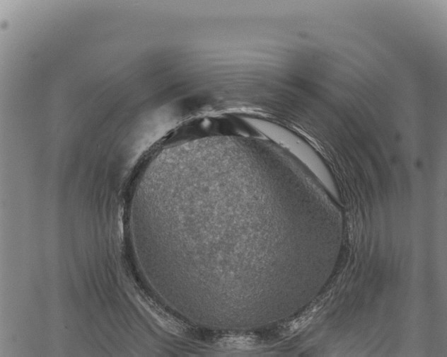 X0000066950350200603311448