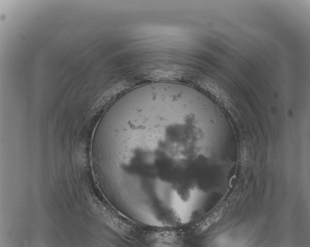 X0000066950353200603311448