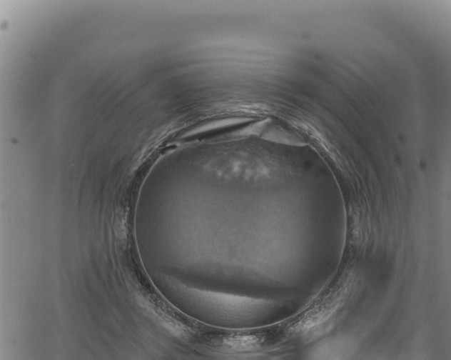 X0000066950357200603311448