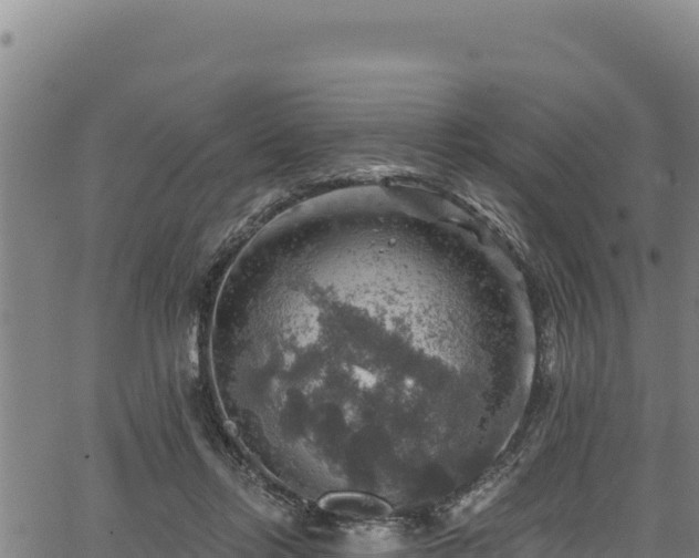 X0000066950358200603311448