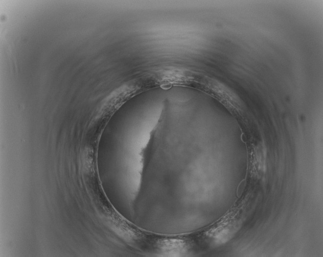 X0000066950361200603311448