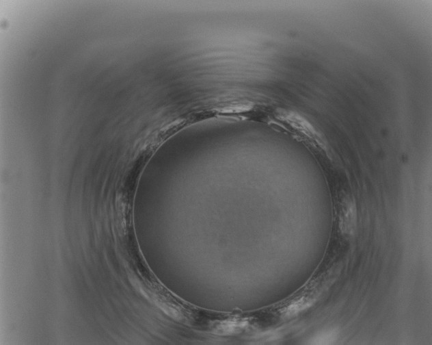 X0000066950366200603311448