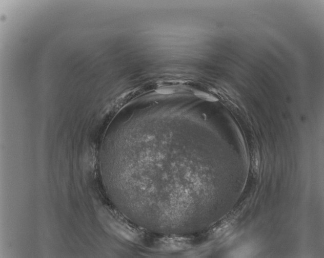 X0000066950367200603311448