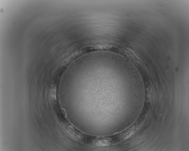 X0000066950368200603311448