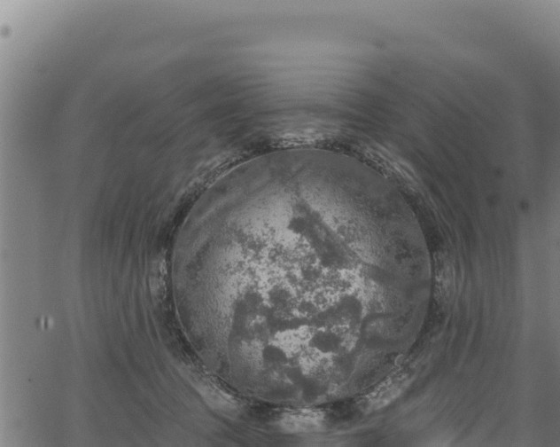 X0000066950369200603311448