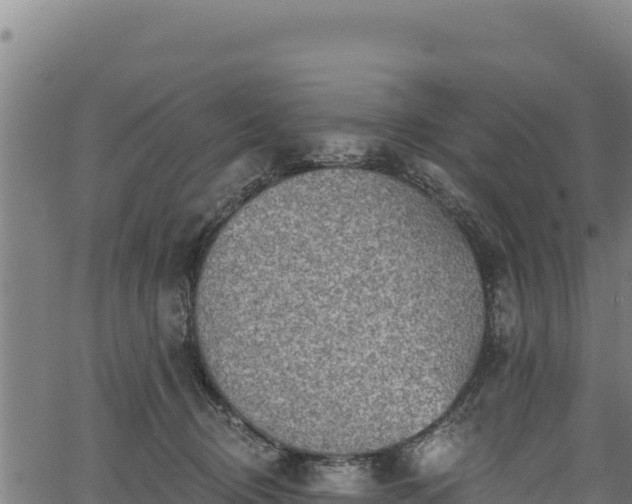 X0000066950370200603311448