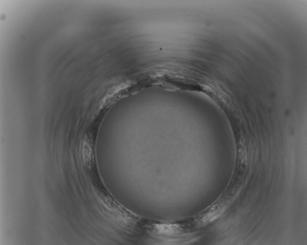 X0000066950371200603311448