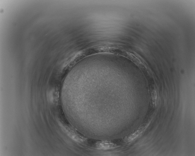 X0000066950372200603311448