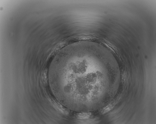 X0000066950373200603311448