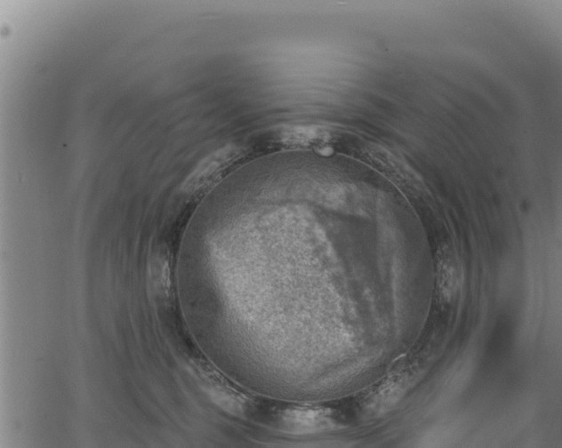 X0000066950375200603311448