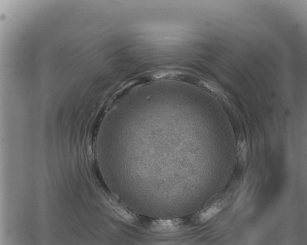 X0000066950381200603311448