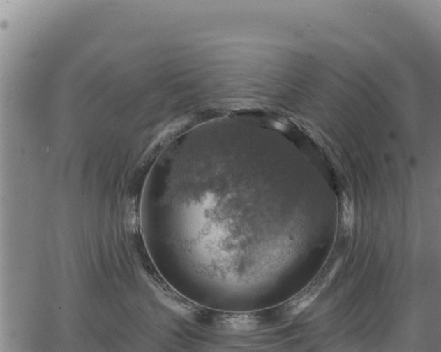 X0000066950383200603311448