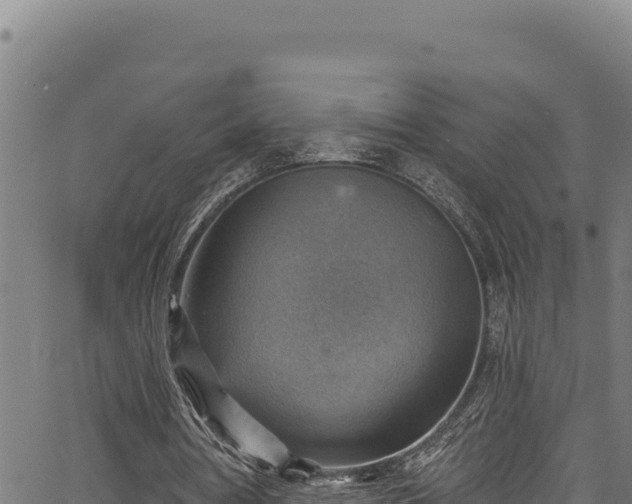 X0000066950386200603311447