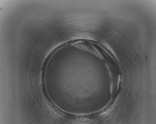 X0000066950387200603311447