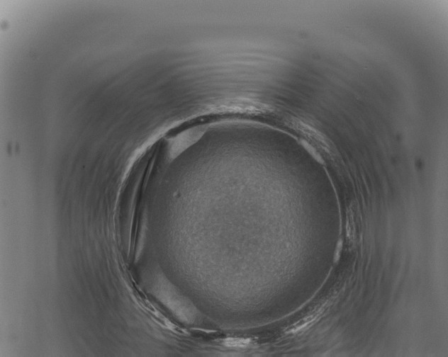 X0000066950388200603311447