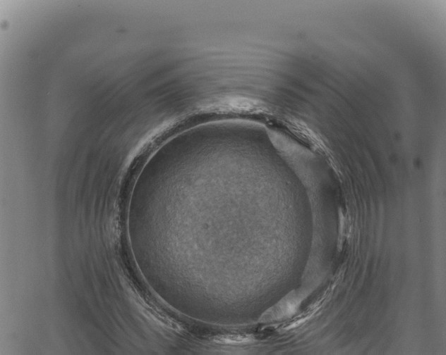 X0000066950392200603311447