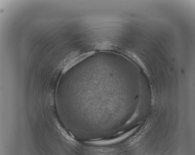 X0000066950393200603311447