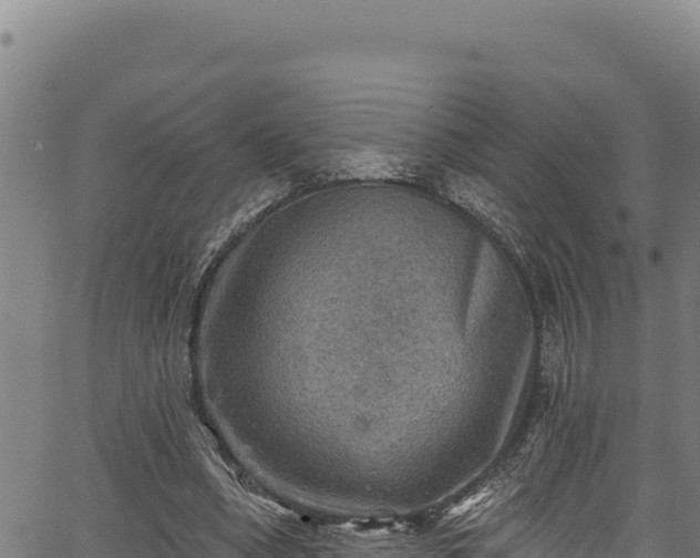 X0000066950394200603311447