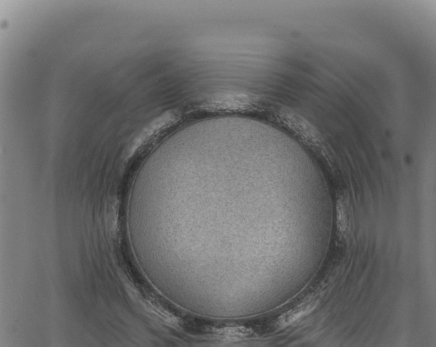 X0000066950396200603311447