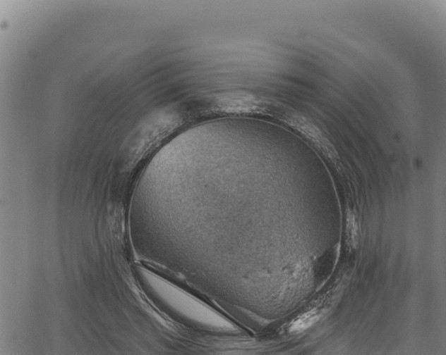 X0000066950397200603311447