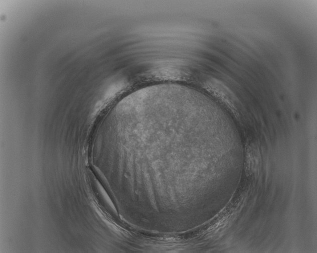 X0000066950398200603311447