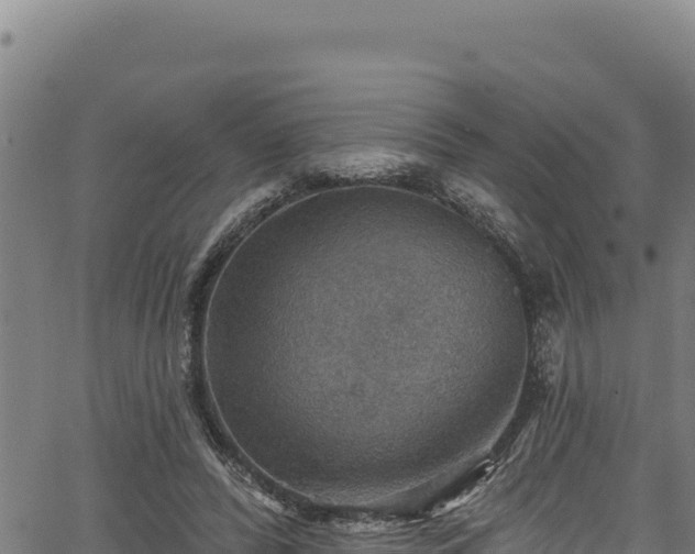 X0000066950400200603311447