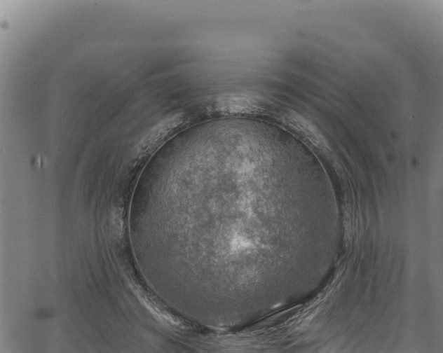 X0000066950401200603311447