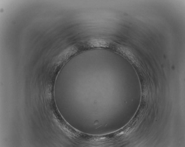 X0000066950402200603311447