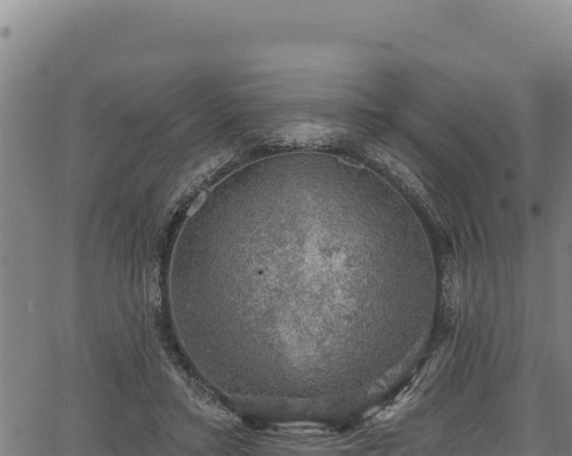 X0000066950403200603311447