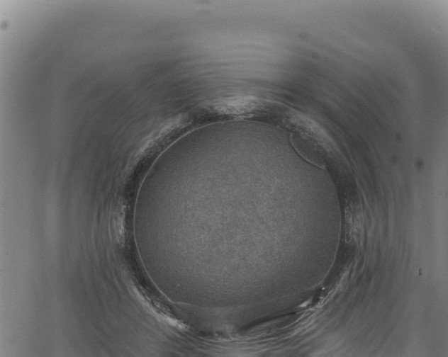 X0000066950404200603311447