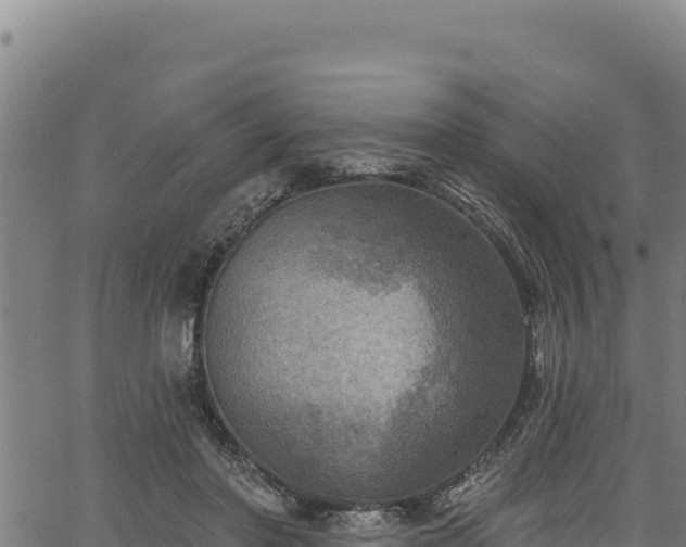 X0000066950406200603311447