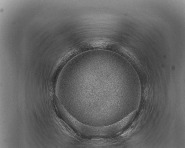 X0000066950407200603311447