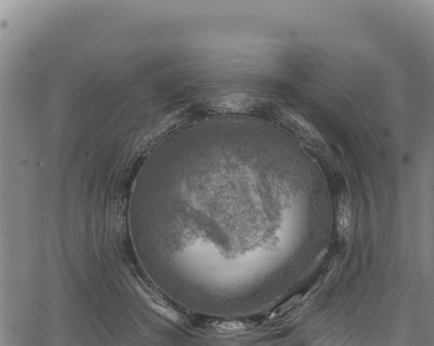 X0000066950409200603311447