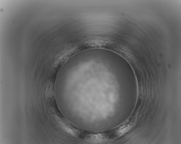 X0000066950411200603311447