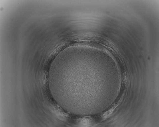 X0000066950412200603311447