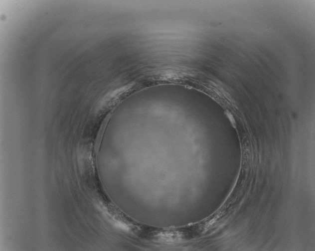 X0000066950415200603311447