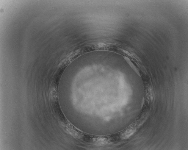 X0000066950419200603311447