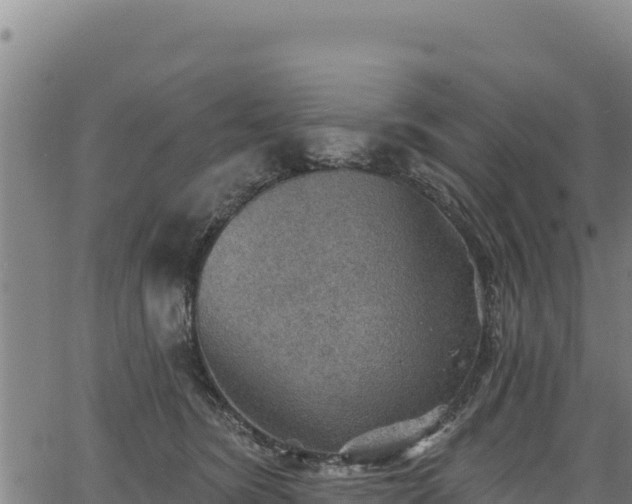 X0000066950420200603311447