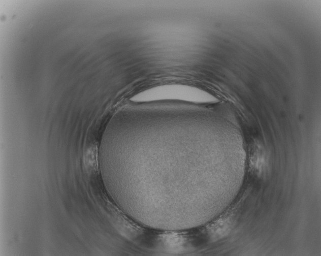 X0000066950425200603311447