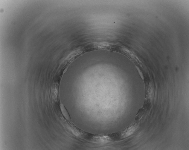 X0000066950427200603311447