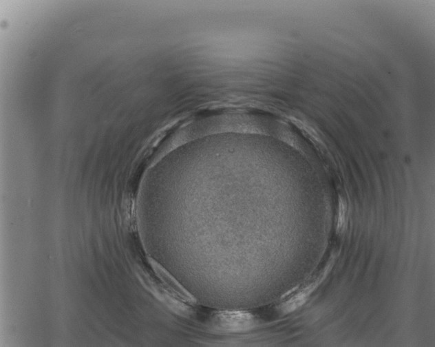 X0000066950429200603311447