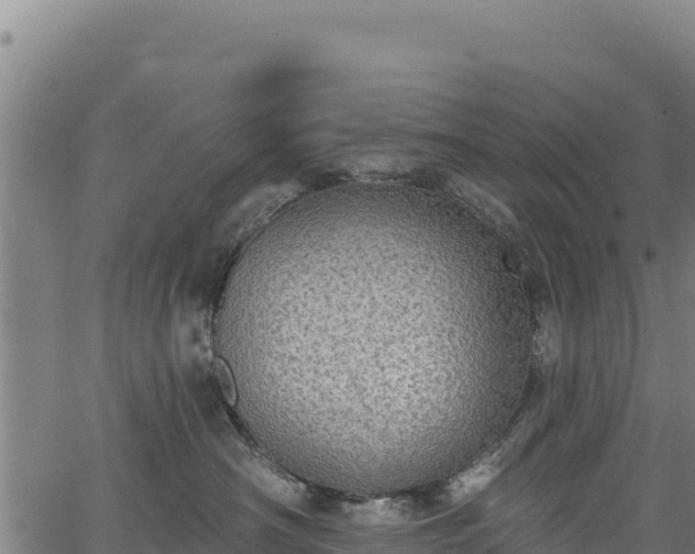 X0000066950430200603311447