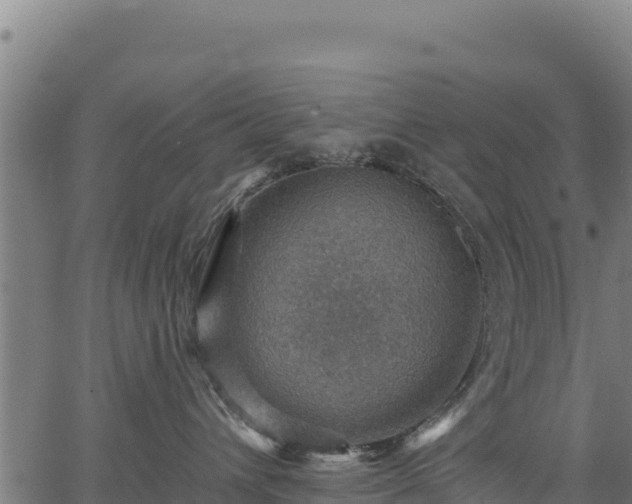 X0000066950432200603311447