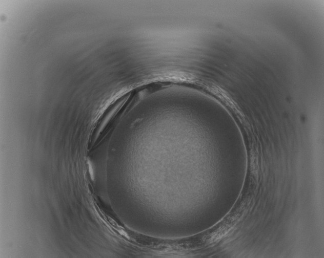 X0000066950434200603311446